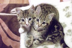 brother and sister 001