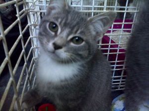 1091009_1452538164971649_1240482150_o