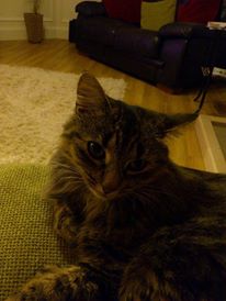 1387886_10201446134288770_1210533979_n