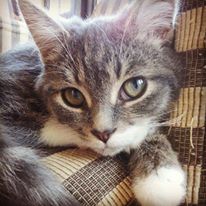 1476008_634667753242614_2005044760_n