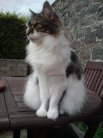 45405_424773216569_5918584_n