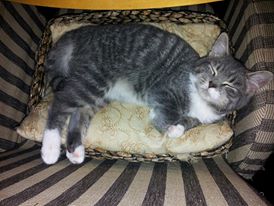 563725_634670419909014_156024339_n