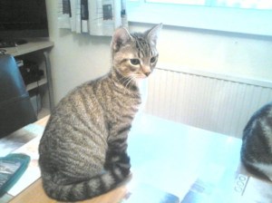 1507191_10200580759521535_1803091460_n