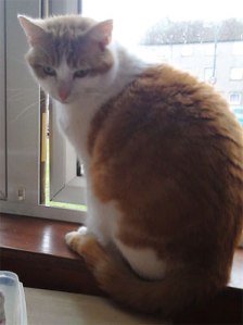 Mr Bean has a new permanent home at last