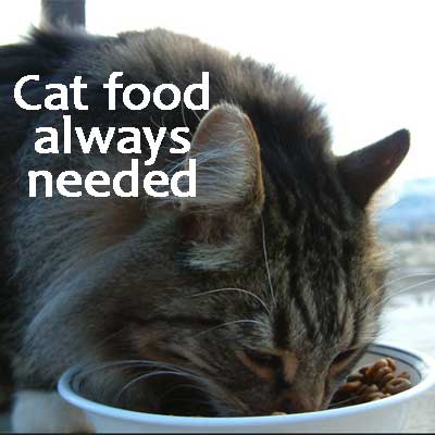 cat-food-needed