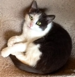 !cid_CC960574-4160-400C-B01C-33C55DB869B1