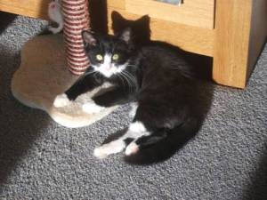 !cid_image005_jpg@01CFFF53