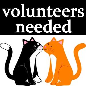 Volunteers needed to work in our Auchtermuchty shop - even half a day would be a great help!