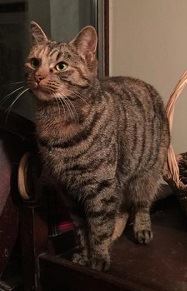 10433125_1722419027983560_3516976569033709947_n