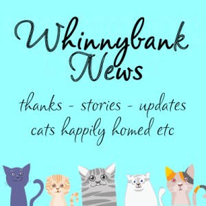 whinnybank nes with mug shots copy