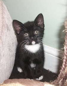 11900049_1211969142162206_9137998634331942047_n