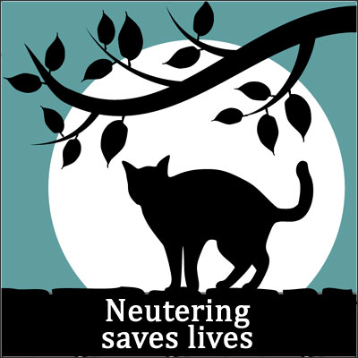 neutering-saves-lives