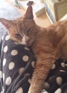 12232973_10204917742494302_438524405_n